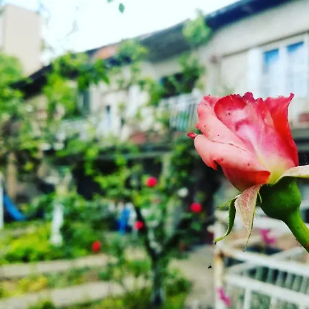 Hostel Sirma's House